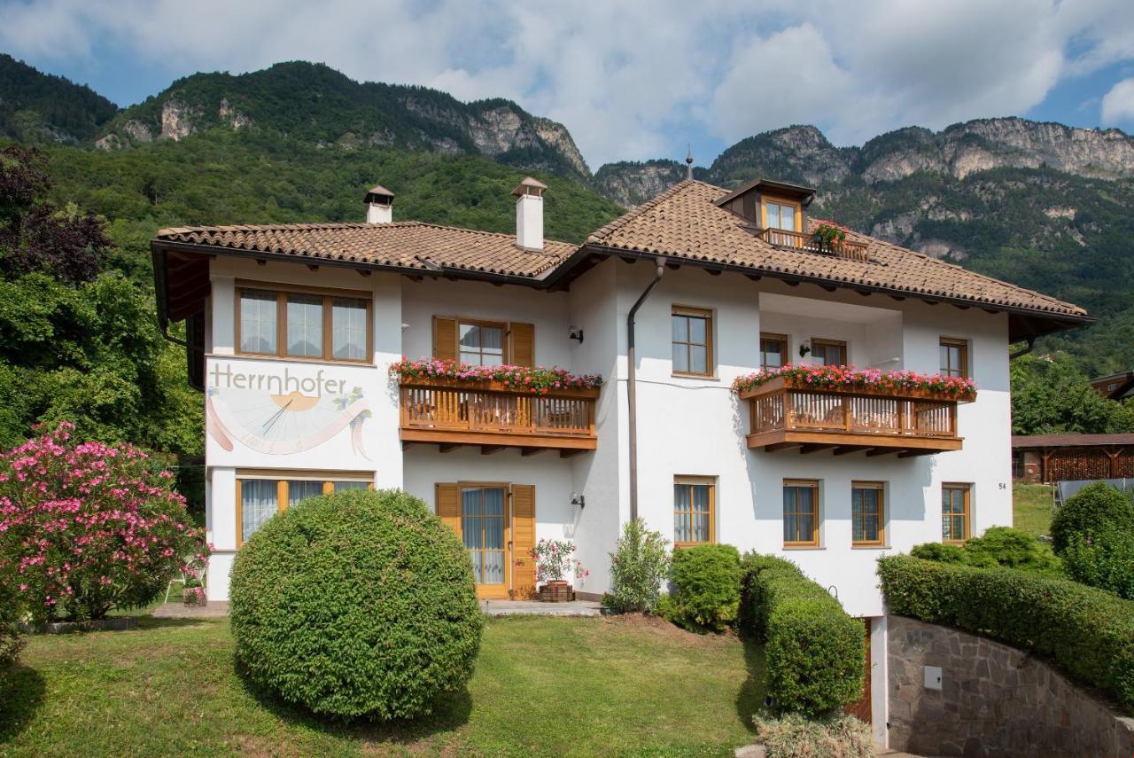 Apartments Herrnhofer Caldaro Extérieur photo